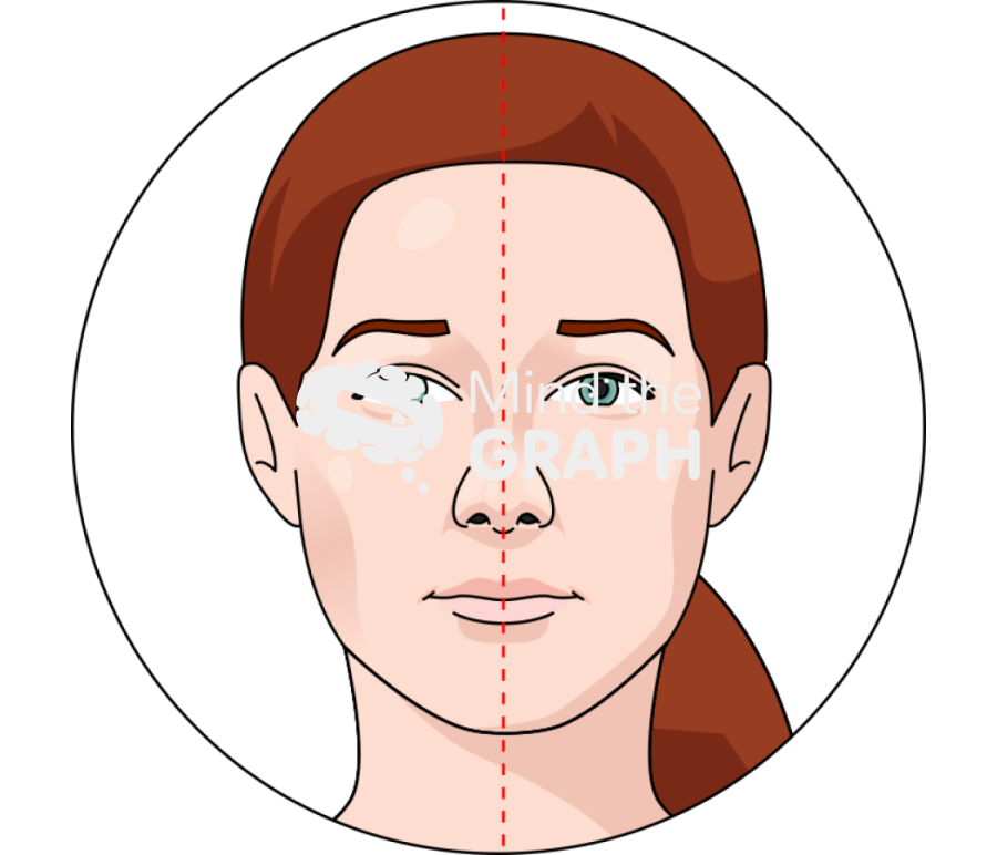 Standard face photographing rhinoplasty front view zoom Icons, Symbols, Pictures, and Images