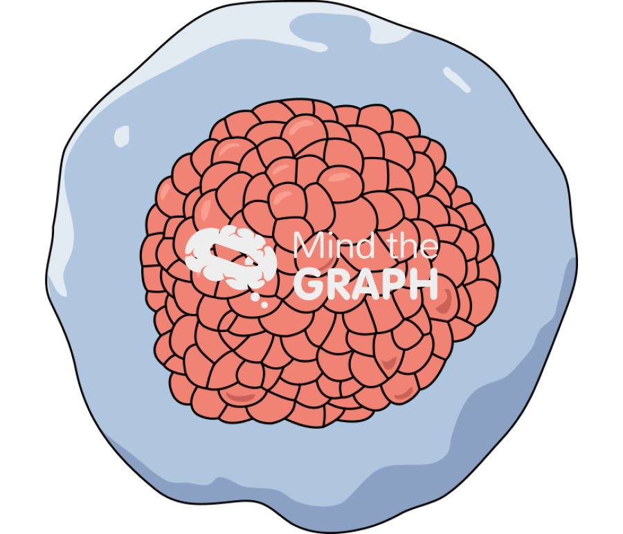 Stem cells 2 Icons, Symbols, Pictures, and Images