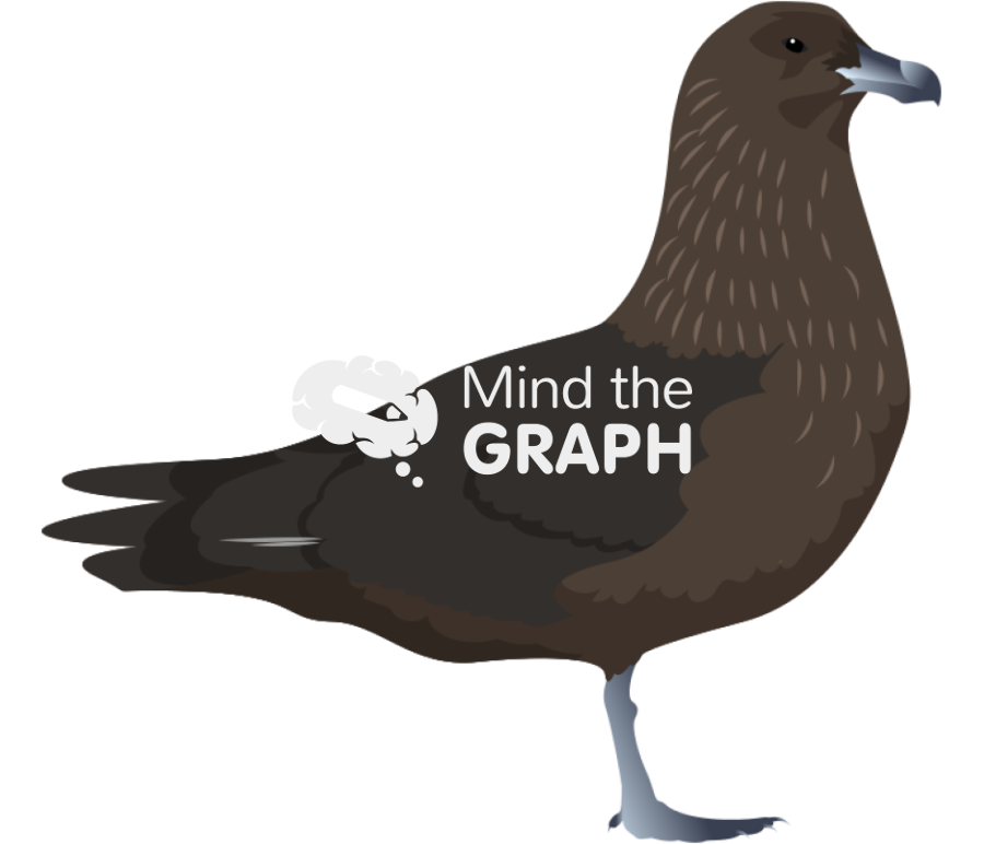 Stercorarius maccormicki south polar skua bird Icons, Symbols, Pictures, and Images