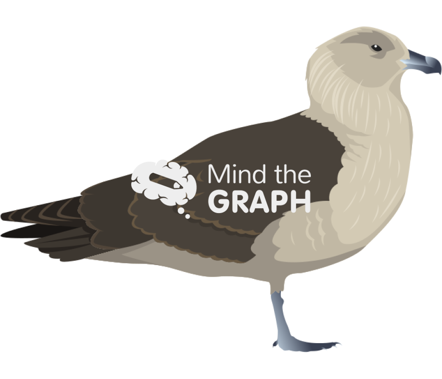 Stercorarius maccormicki south polar skua pale morph Icons, Symbols, Pictures, and Images