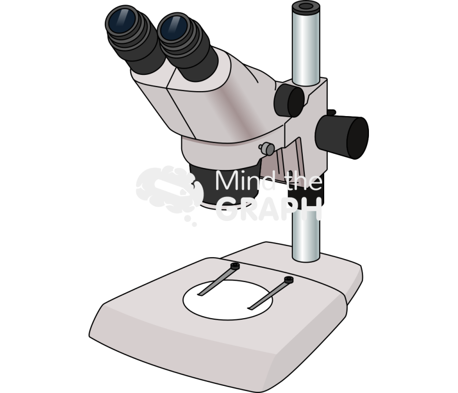 Stereomicroscope perspective Icons, Symbols, Pictures, and Images