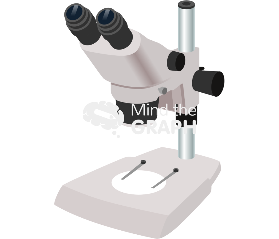 Stereomicroscope perspective Icons, Symbols, Pictures, and Images