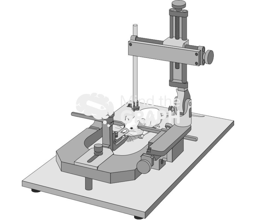 Stereotaxic apparatus Icons, Symbols, Pictures, and Images