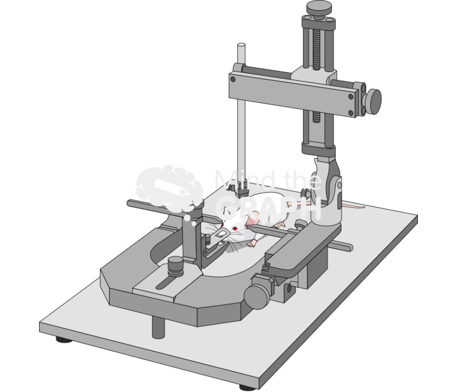 Stereotaxic apparatus Icons, Symbols, Pictures, and Images