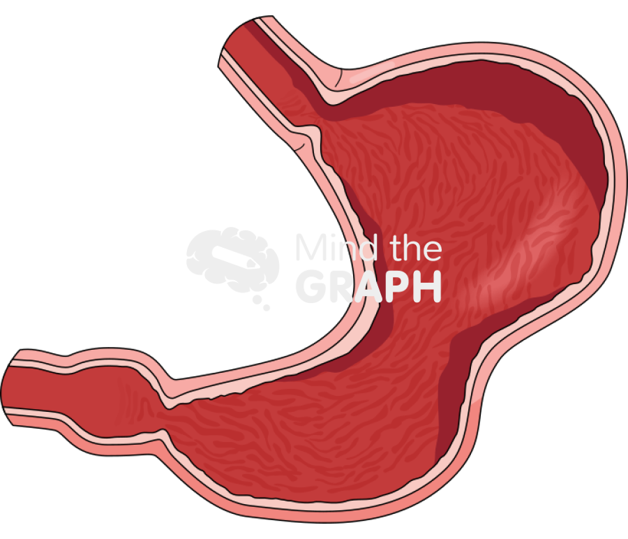 Stomach contractions Icons, Symbols, Pictures, and Images