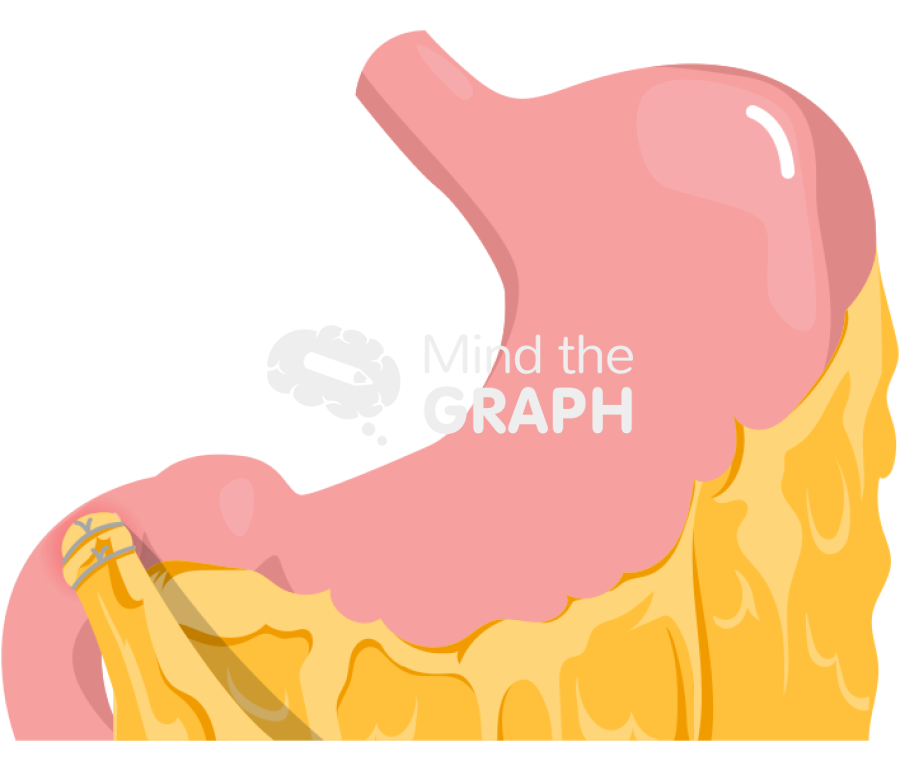 Stomach graham patch 2 Icons, Symbols, Pictures, and Images