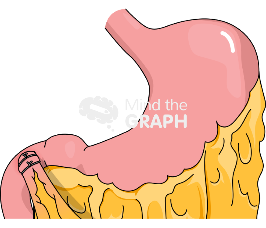 Stomach graham patch 3 Icons, Symbols, Pictures, and Images