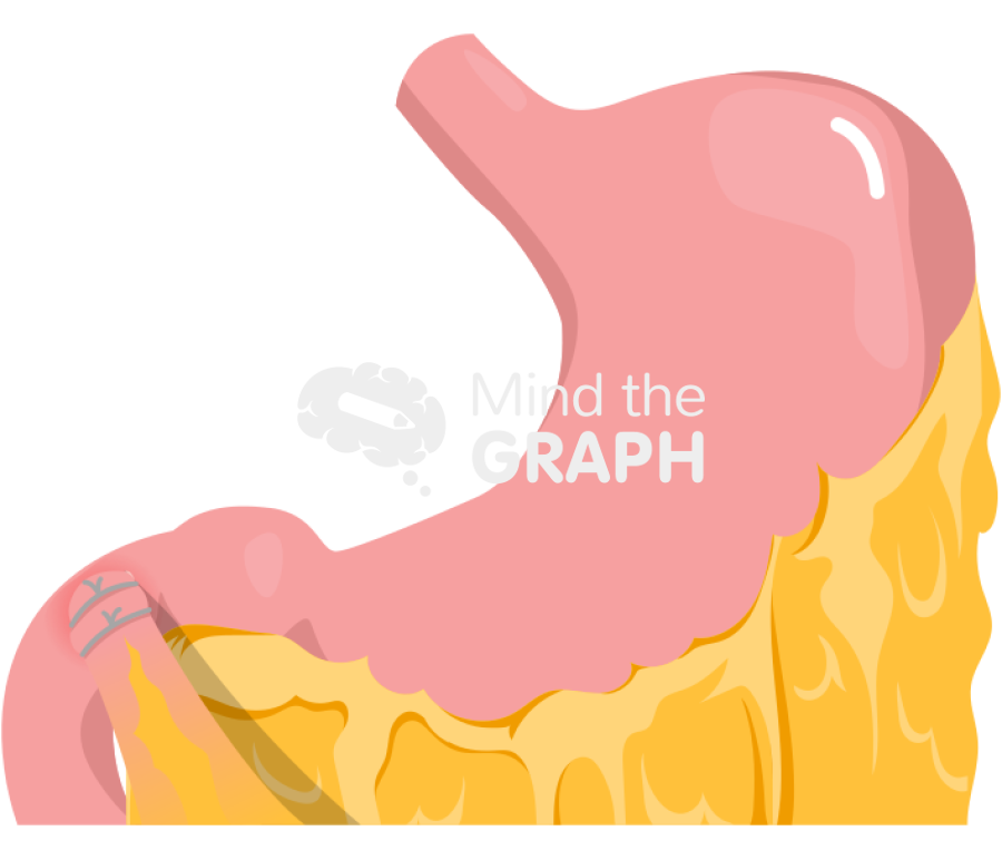 Stomach graham patch 3 Icons, Symbols, Pictures, and Images