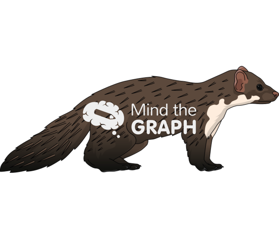 Stone marten lateral Icons, Symbols, Pictures, and Images