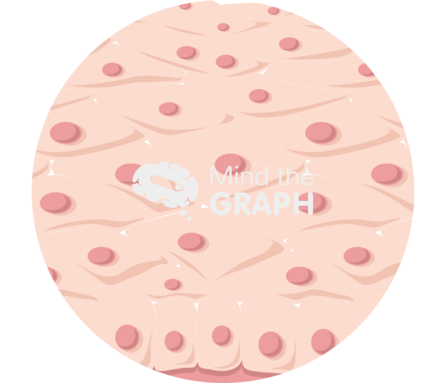 Stratified squamous epithelium Icons, Symbols, Pictures, and Images