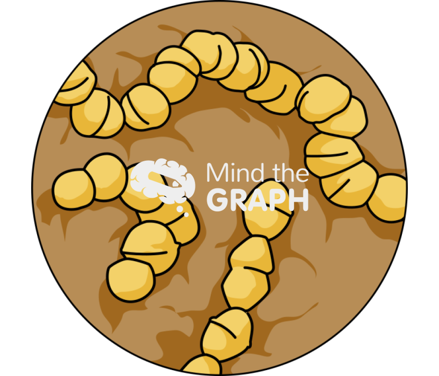 Streptococcus pneumoniae zoom Icons, Symbols, Pictures, and Images