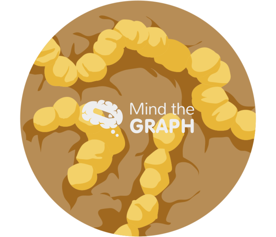 Streptococcus pneumoniae zoom Icons, Symbols, Pictures, and Images