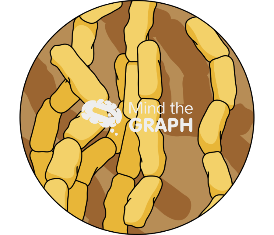 Streptomyces bacteria zoom Icons, Symbols, Pictures, and Images