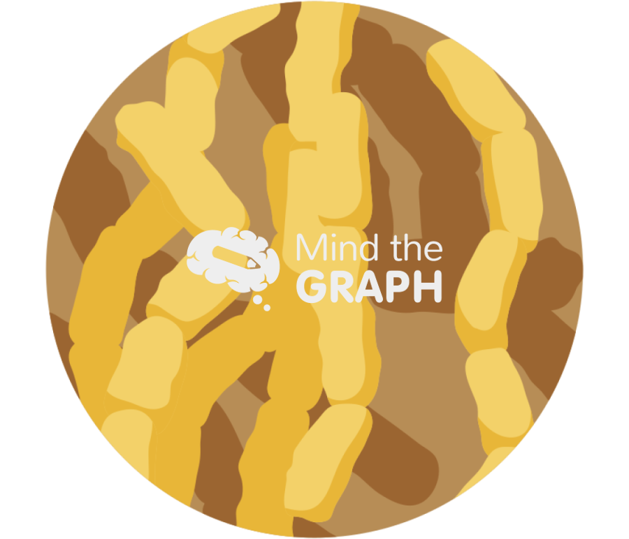 Streptomyces bacteria zoom Icons, Symbols, Pictures, and Images