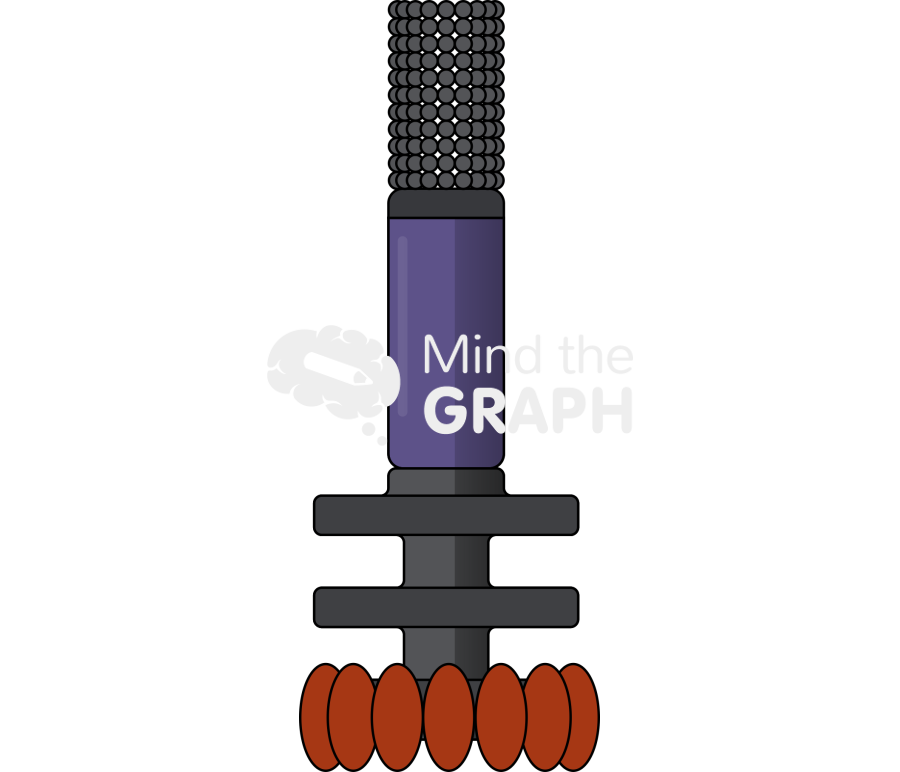 Strucuture bacterial flagella pili 4 Icons, Symbols, Pictures, and Images