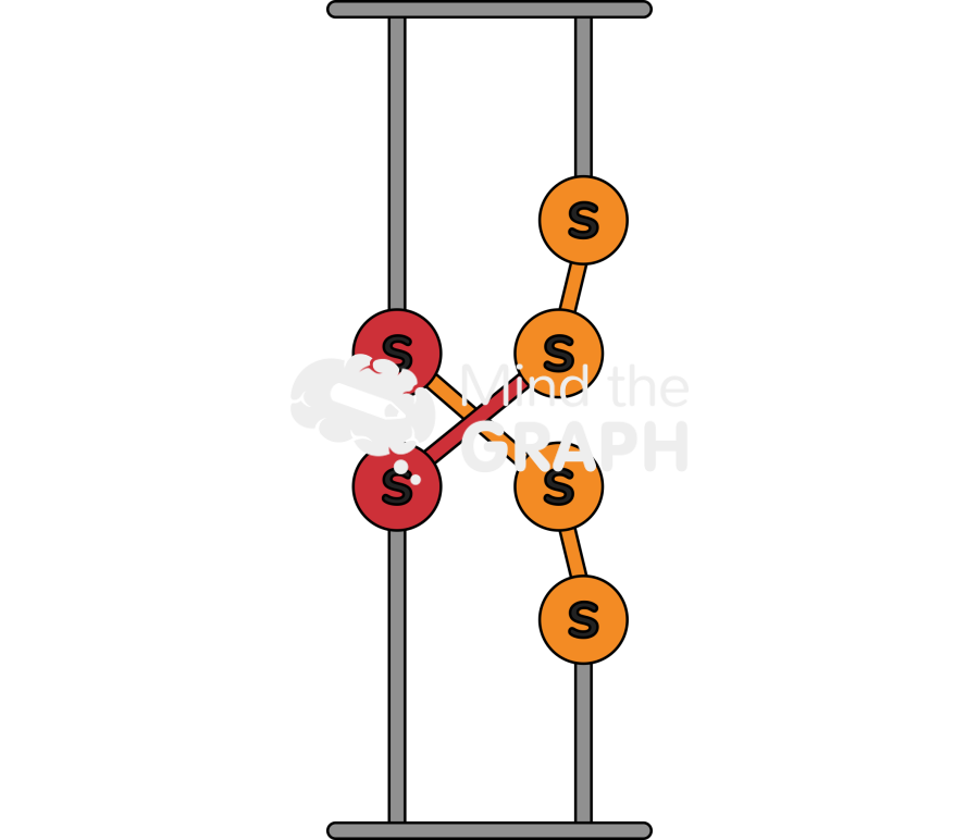 Styrene butadiene rubber sbr polysulfide catalyst 3 Icons, Symbols, Pictures, and Images