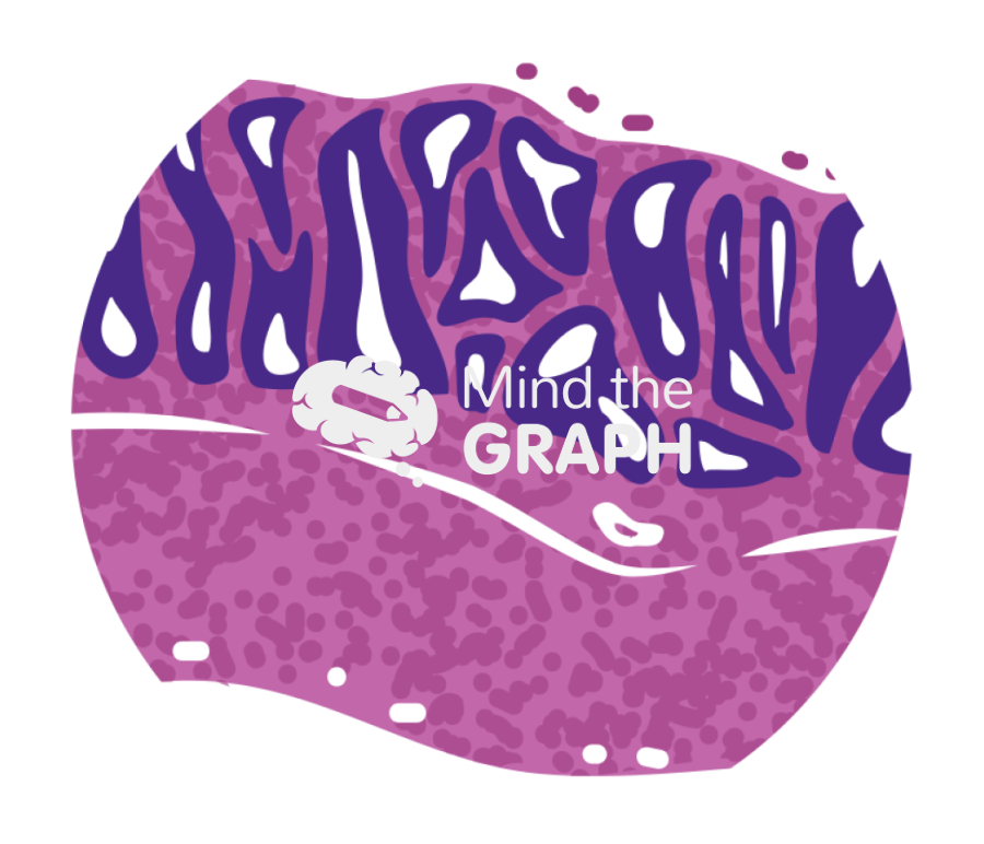 Submucosa histology zoom Icons, Symbols, Pictures, and Images