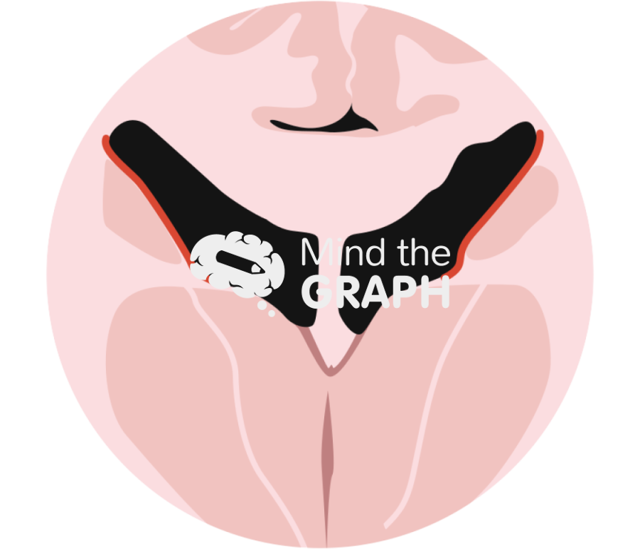 Subventricular zone coronal view zoom Icons, Symbols, Pictures, and Images