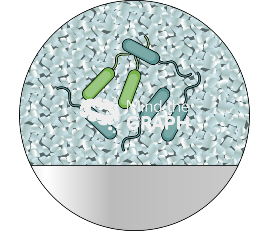Sulphate reduction magnetite carbon steel surface zoom Icons, Symbols, Pictures, and Images