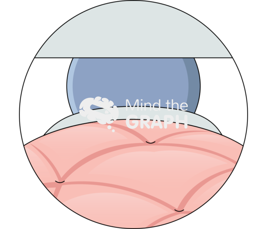 Super adaptable soft bio switchable adhesive 2 Icons, Symbols, Pictures, and Images