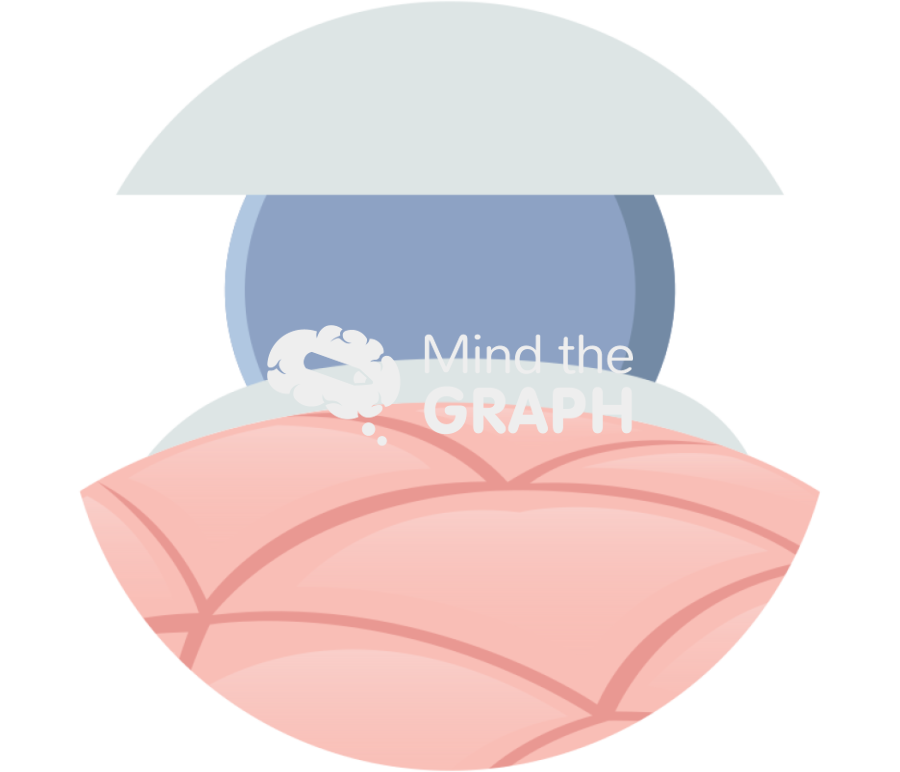 Super adaptable soft bio switchable adhesive 2 Icons, Symbols, Pictures, and Images