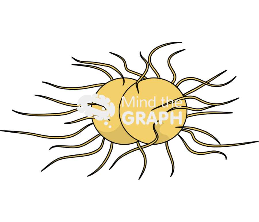 Superbug 1 Icons, Symbols, Pictures, and Images