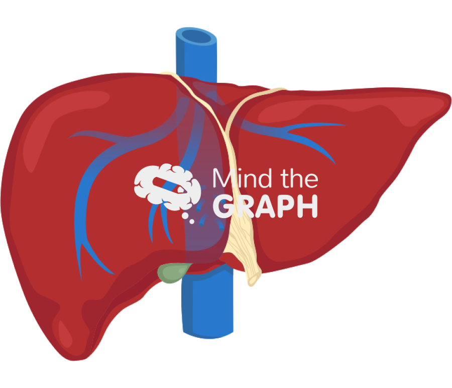 Suprahepatic veins Icons, Symbols, Pictures, and Images