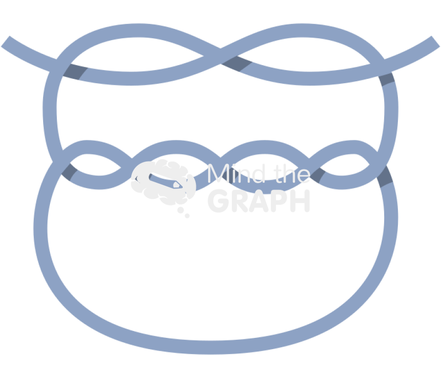 Surgeon knot 2 Icons, Symbols, Pictures, and Images