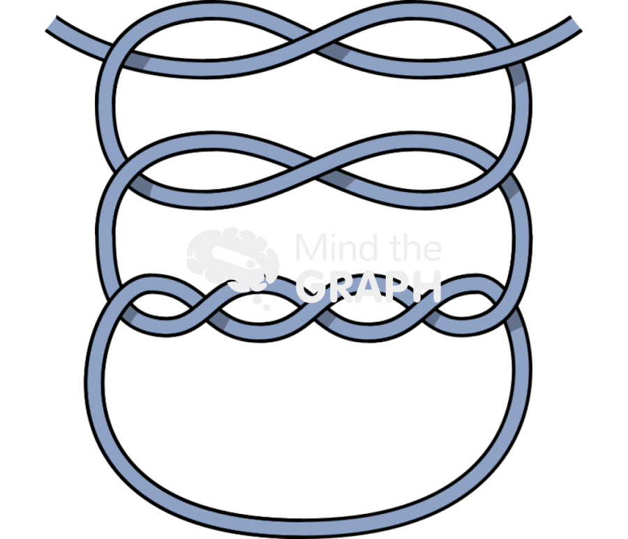 Surgeon knot 3 Icons, Symbols, Pictures, and Images