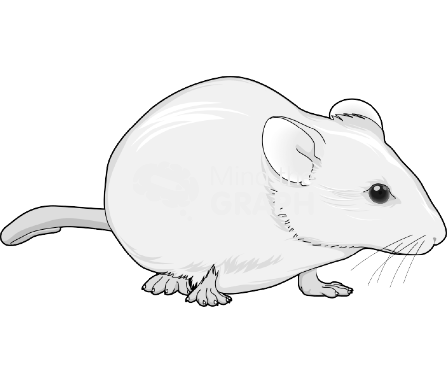 Swiss 1 Icons, Symbols, Pictures, and Images