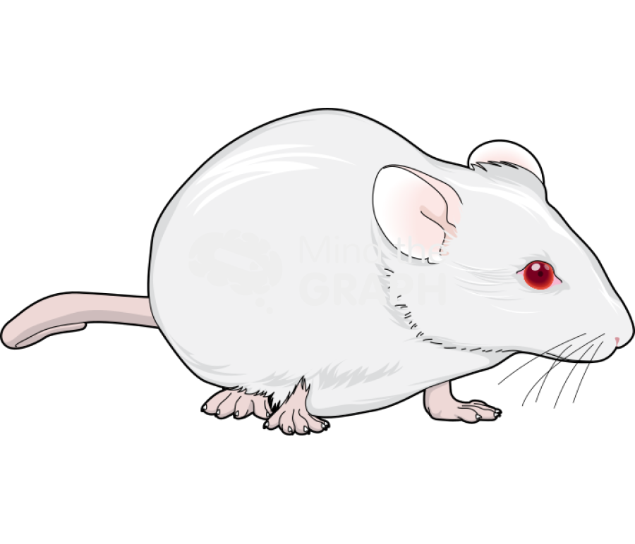 Swiss 1 Icons, Symbols, Pictures, and Images