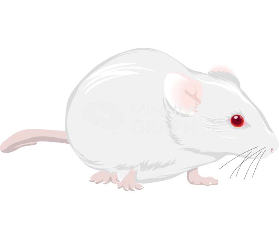 Swiss 1 Icons, Symbols, Pictures, and Images