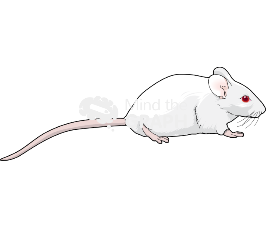 Swiss 2 Icons, Symbols, Pictures, and Images