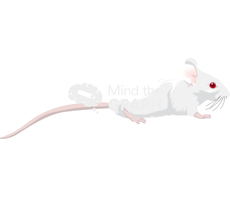 Swiss 2 Icons, Symbols, Pictures, and Images