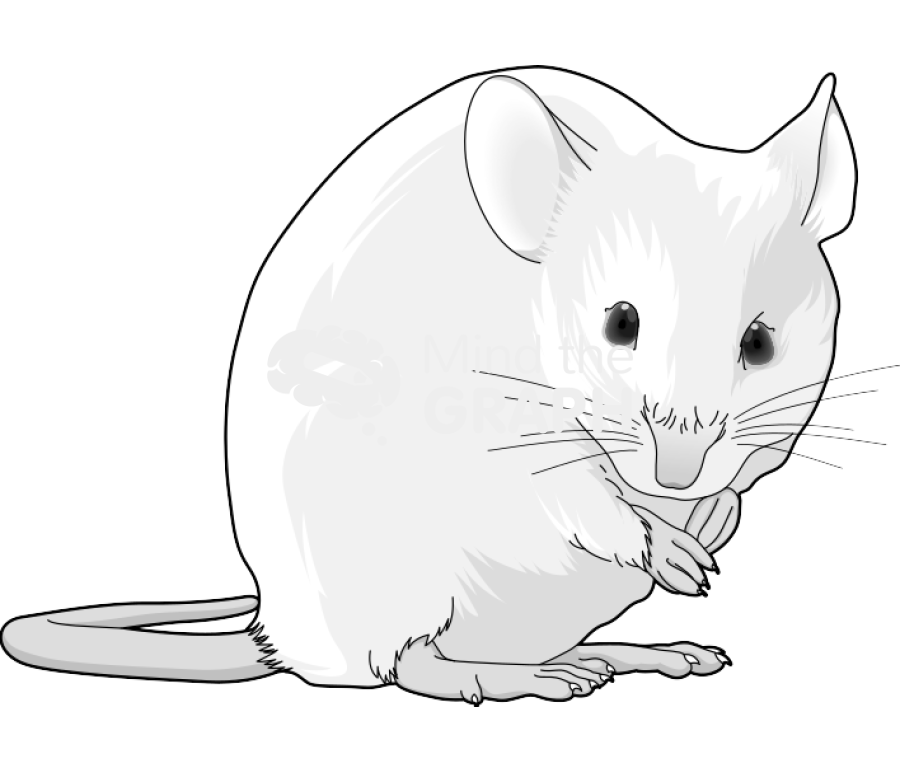 Swiss 3 Icons, Symbols, Pictures, and Images