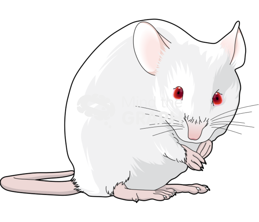 Swiss 3 Icons, Symbols, Pictures, and Images