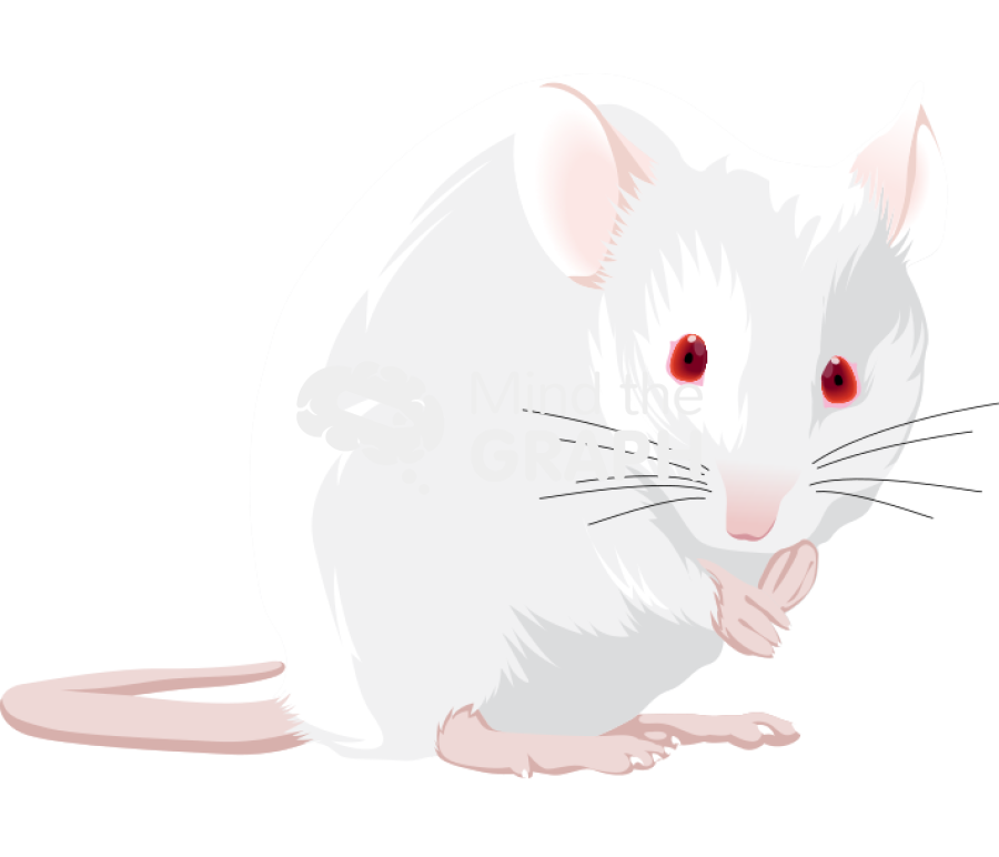 Swiss 3 Icons, Symbols, Pictures, and Images