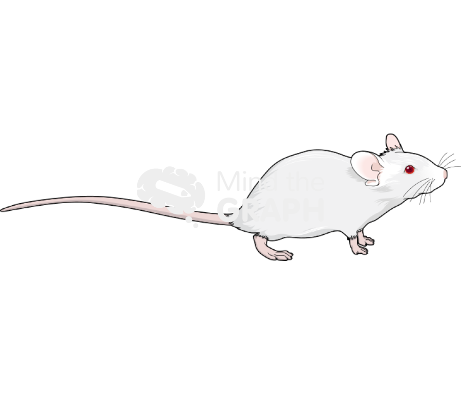 Swiss 5 Icons, Symbols, Pictures, and Images