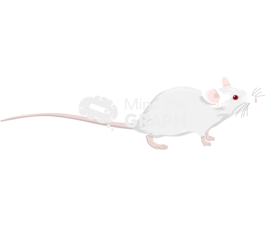 Swiss 5 Icons, Symbols, Pictures, and Images