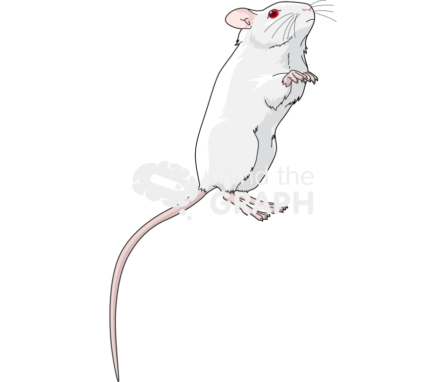 Swiss 6 Icons, Symbols, Pictures, and Images