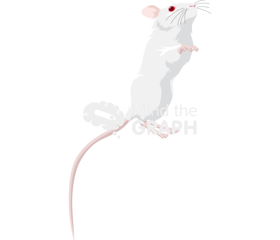 Swiss 6 Icons, Symbols, Pictures, and Images