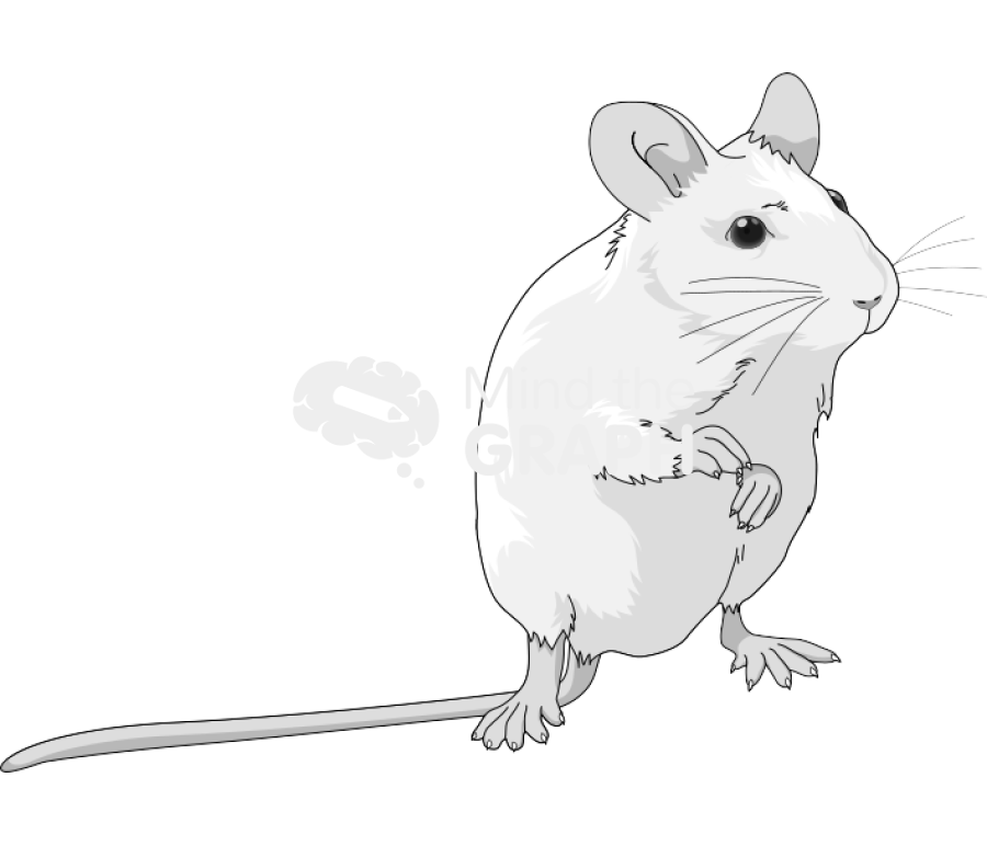 Swiss 7 Icons, Symbols, Pictures, and Images