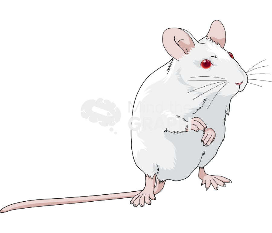 Swiss 7 Icons, Symbols, Pictures, and Images