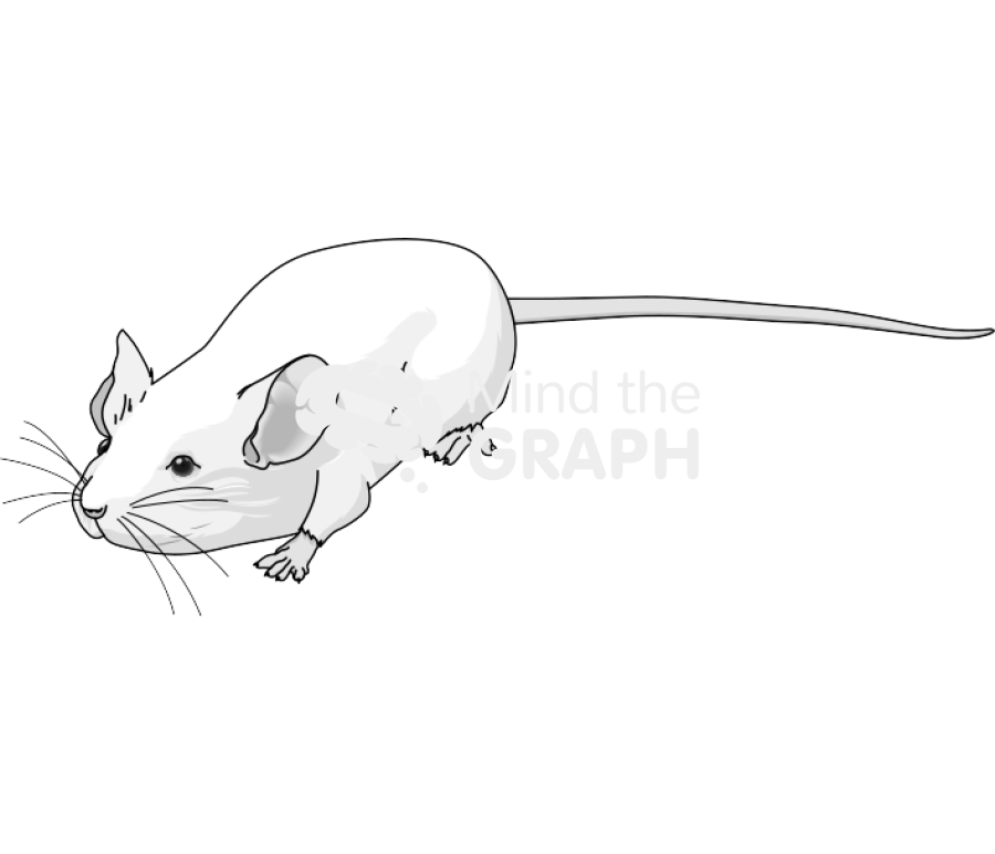 Swiss 8 Icons, Symbols, Pictures, and Images