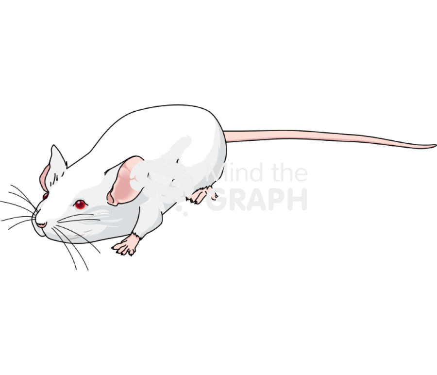 Swiss 8 Icons, Symbols, Pictures, and Images