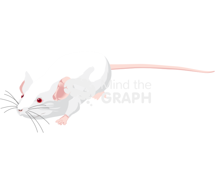 Swiss 8 Icons, Symbols, Pictures, and Images