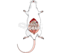 Swiss abdominal lipogranulomas ventral - Edit and Customize Icons of Swiss abdominal lipogranulomas ventral Swiss abdominal lipogranulomas ventral Icons, Symbols, Pictures, and Images