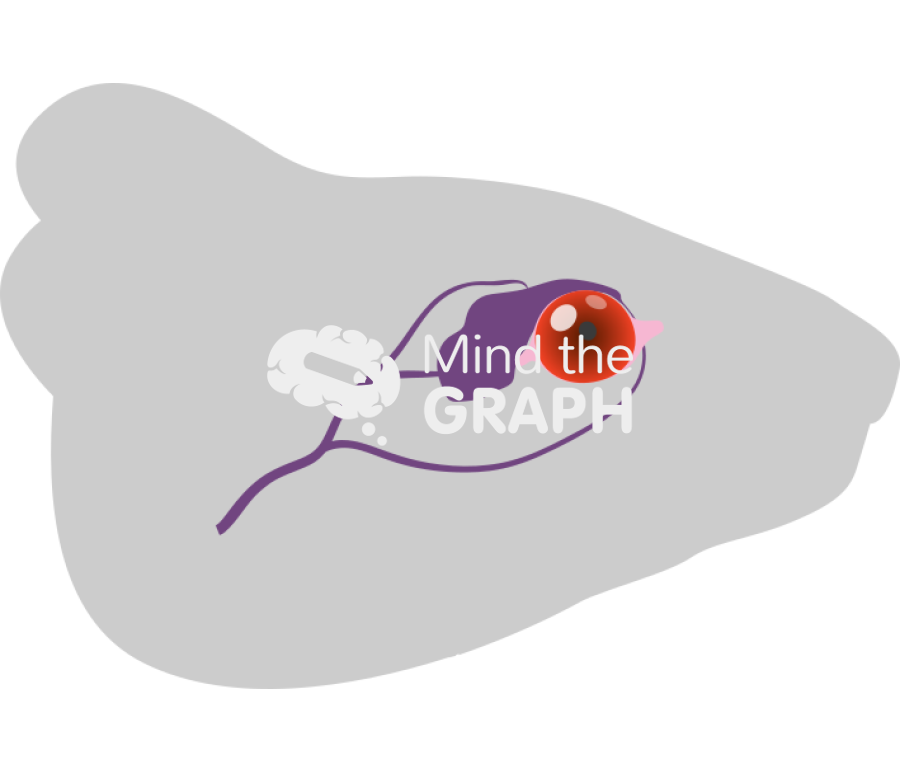 Swiss head eye orbital sinus body Icons, Symbols, Pictures, and Images