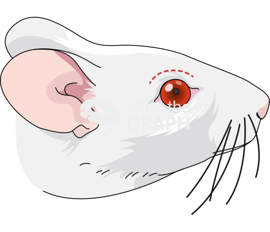 Swiss head incision mark lateral Icons, Symbols, Pictures, and Images