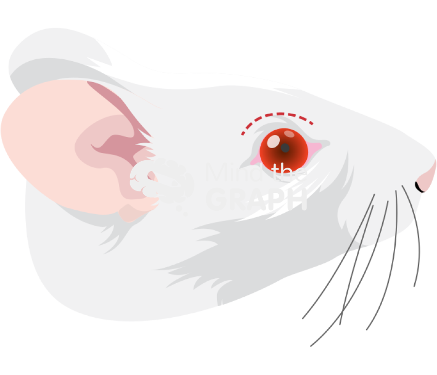 Swiss head incision mark lateral Icons, Symbols, Pictures, and Images